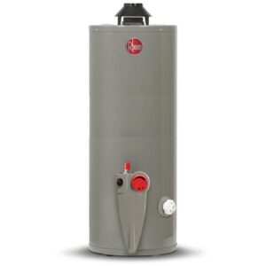 CALENTADOR RHEEM 190L GAS LP 29V50/393483